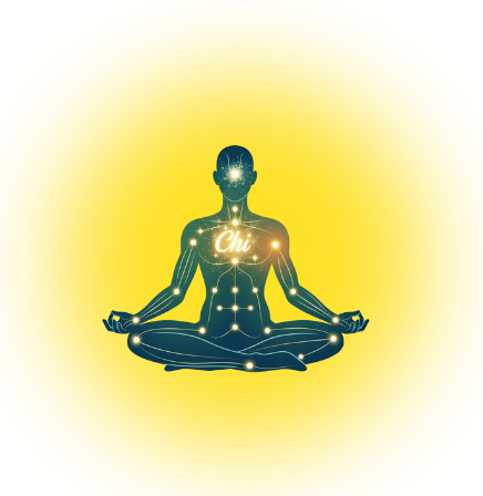 Metamorphosis Therapy Coaching Programs